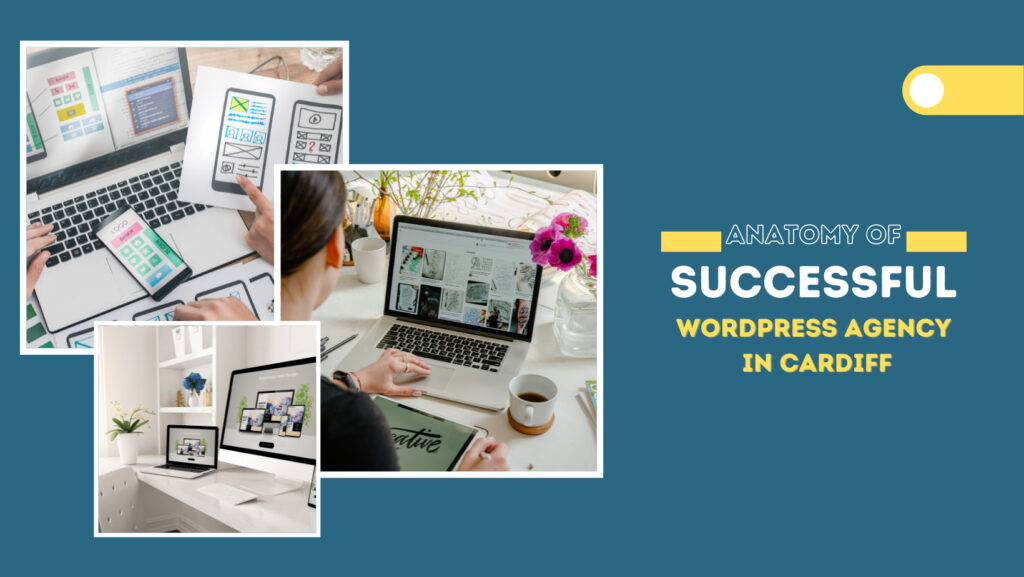 wordpress agency cardiff